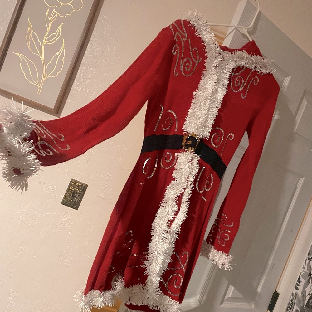 Santa dress with hat. Only worn 1 time